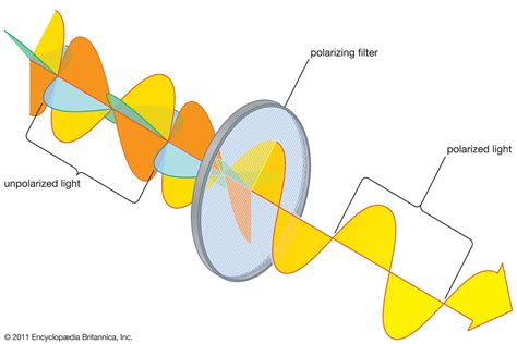 polarization images